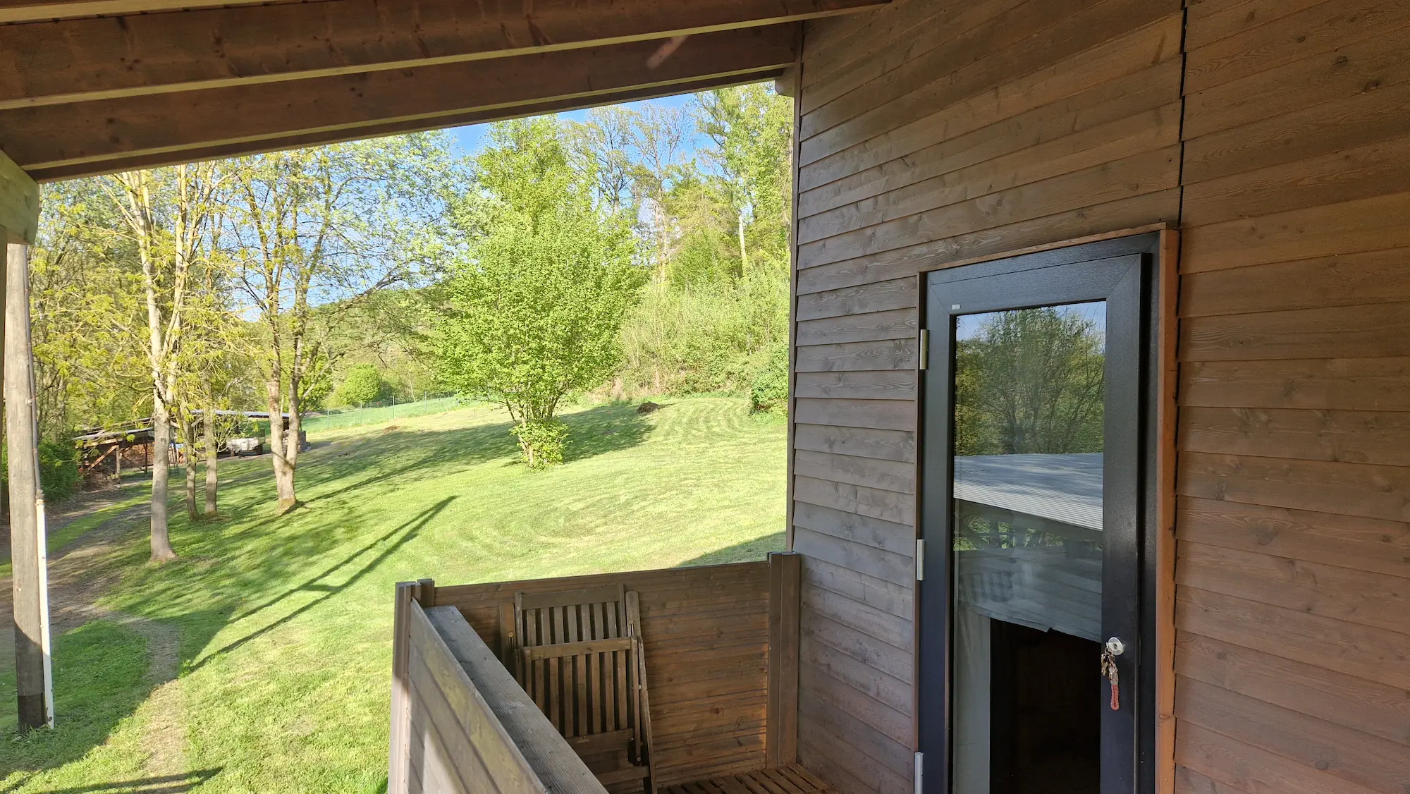 Morgennebel im Eifelwald